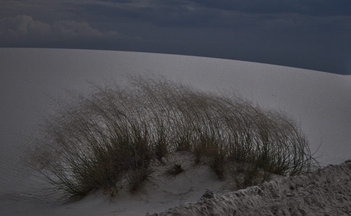 white dunes at night